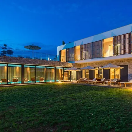 Yellow Tree Jurici & *