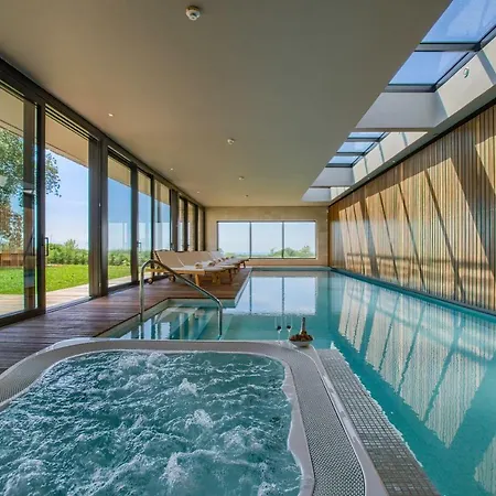 Yellow Tree Jurici &