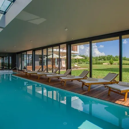 Yellow Tree Jurici &