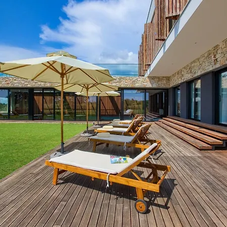 Yellow Tree Jurici & *