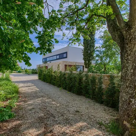 Yellow Tree Jurici & Baderna