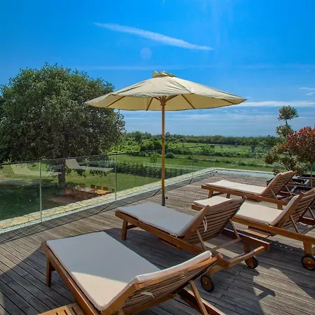 فيلة Yellow Tree Jurici & Baderna